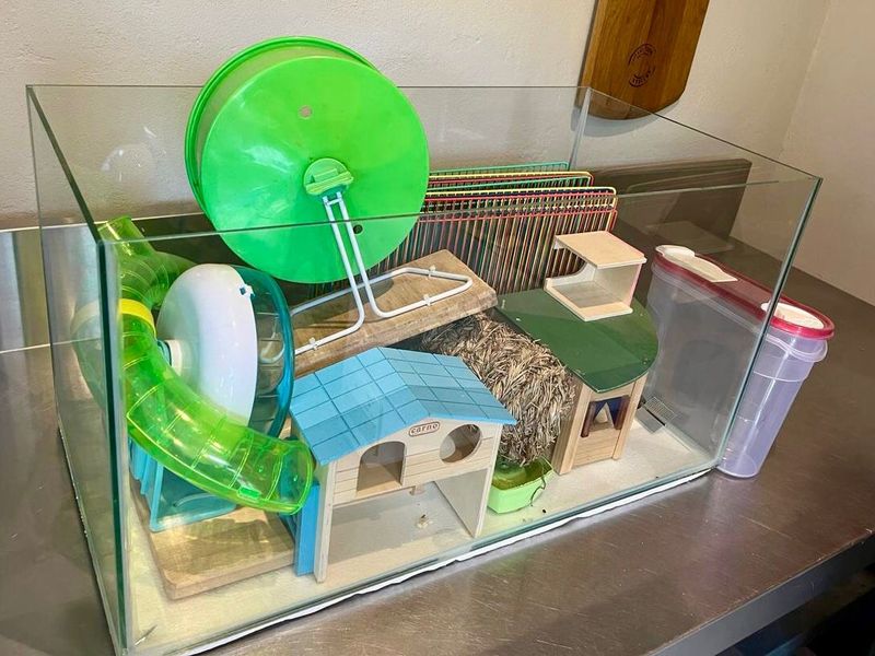 SOLD - Clean Glass Hamster Cage with Wire Mesh Lid plus Many Accessories
