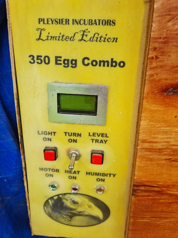 Pleysier Incubator (Limited Addition) 350 egg combo