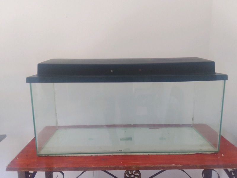 3 foot tank for sale