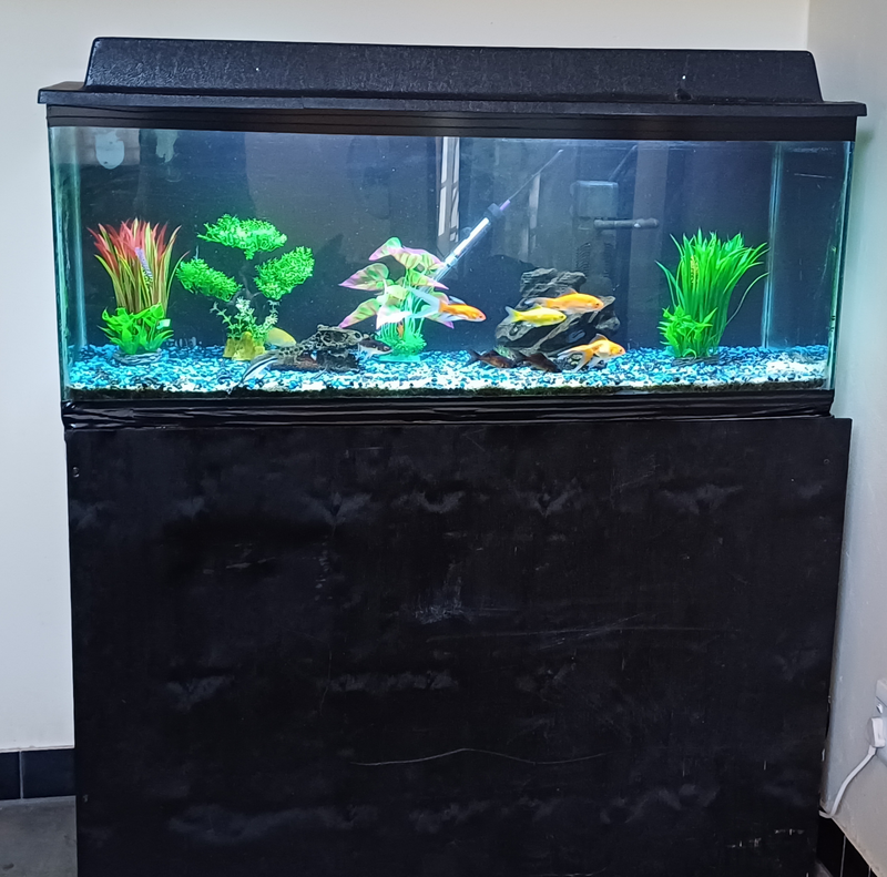 Fish tank 4ft (200L) with stand &amp; All accessories