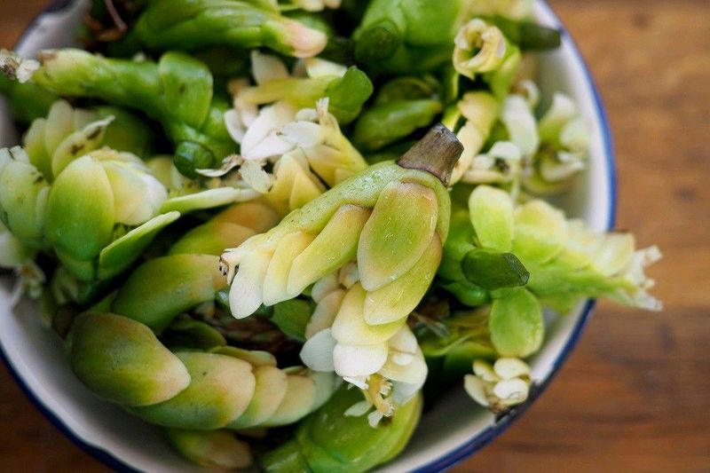 Waterblometjies for sale