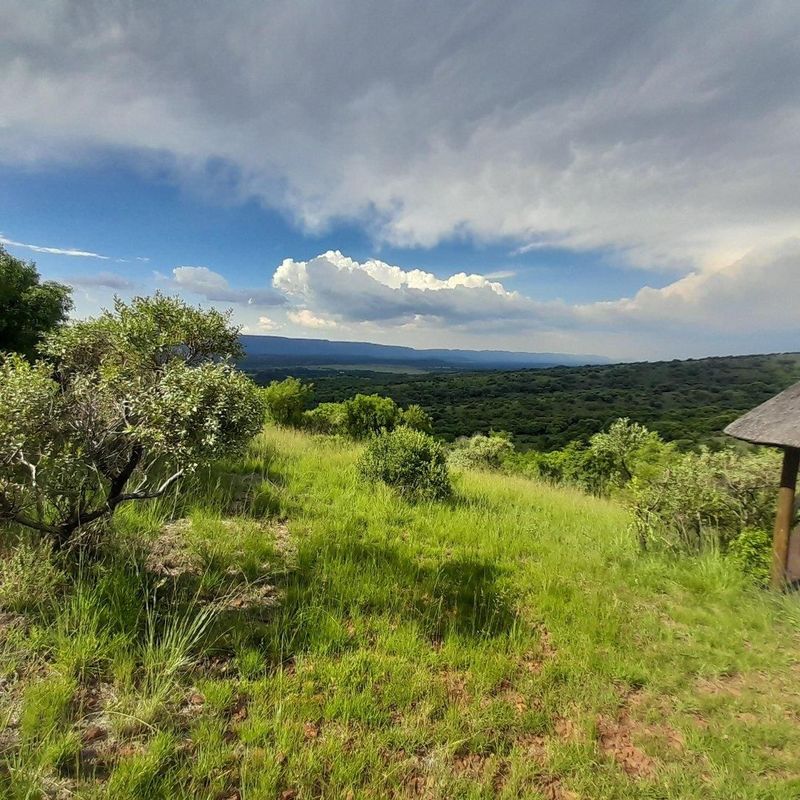 Exquisite private Game Farm in Magaliesburg