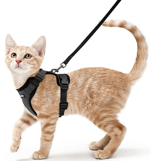 small cat/dog harness