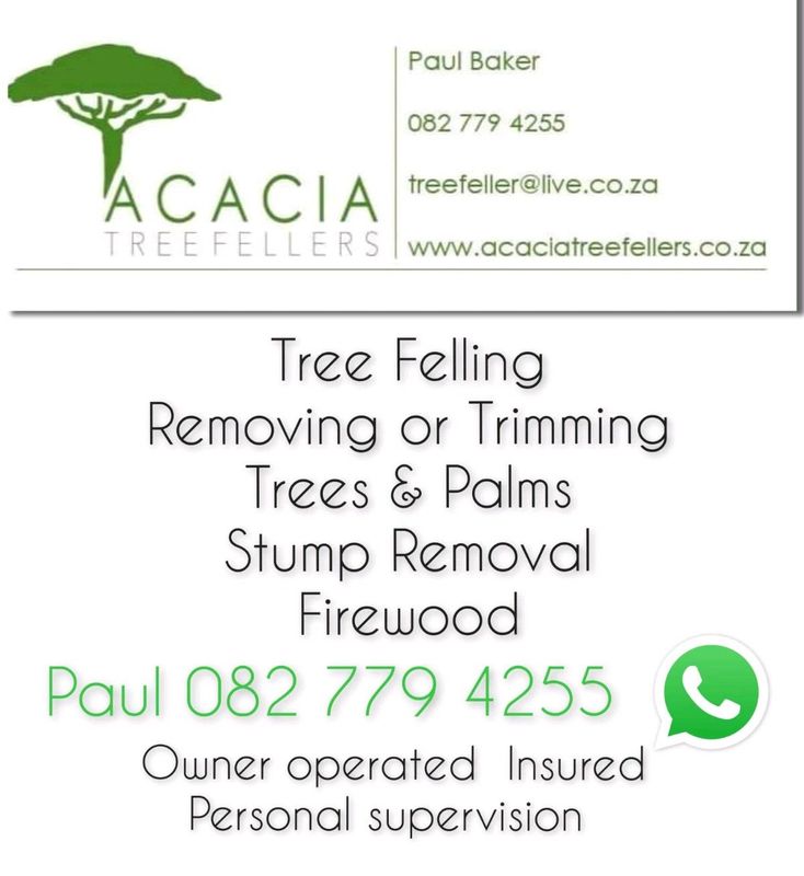 Tree Felling, Tree Trimming, Palm Trimming, Stump Removal, Pruning, Si