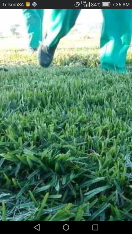 We supply and install fresh green grass straight from the farm
