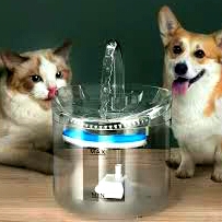Portable Pet Water Fountain