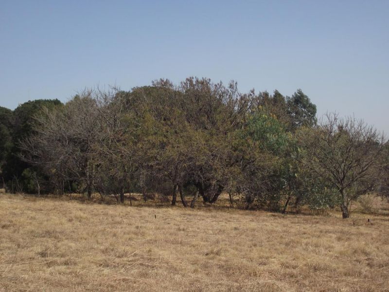 1.1 HECTARE VACANT LAND FOR SALE IN DOORNKLOOF EAST