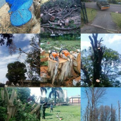 Sizza tree felling and garden service