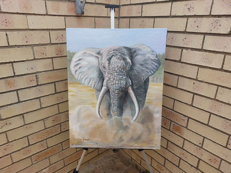 Elephant Oil painting 71cm x 55cm , NEW R 3,950