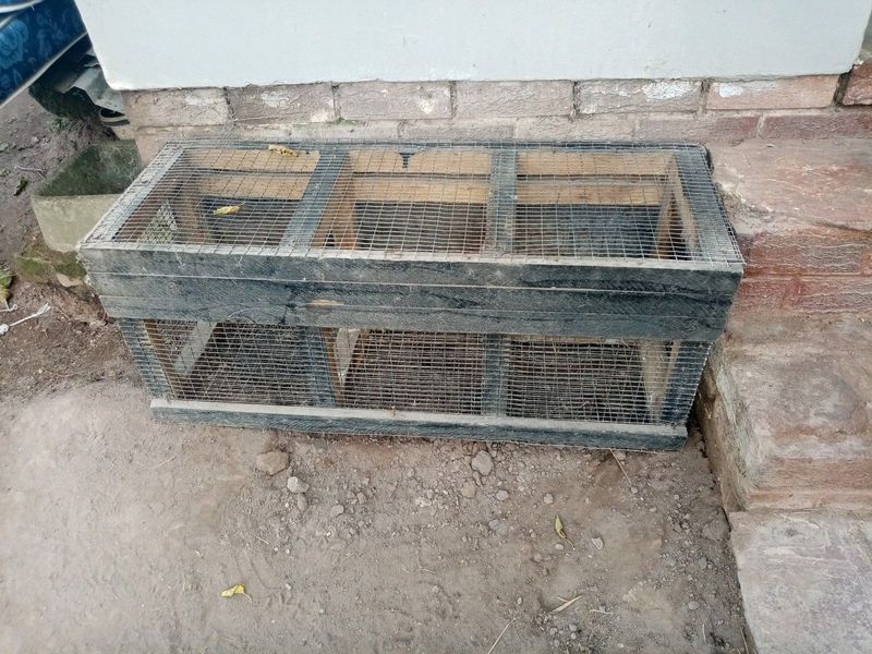 Rabbit cage