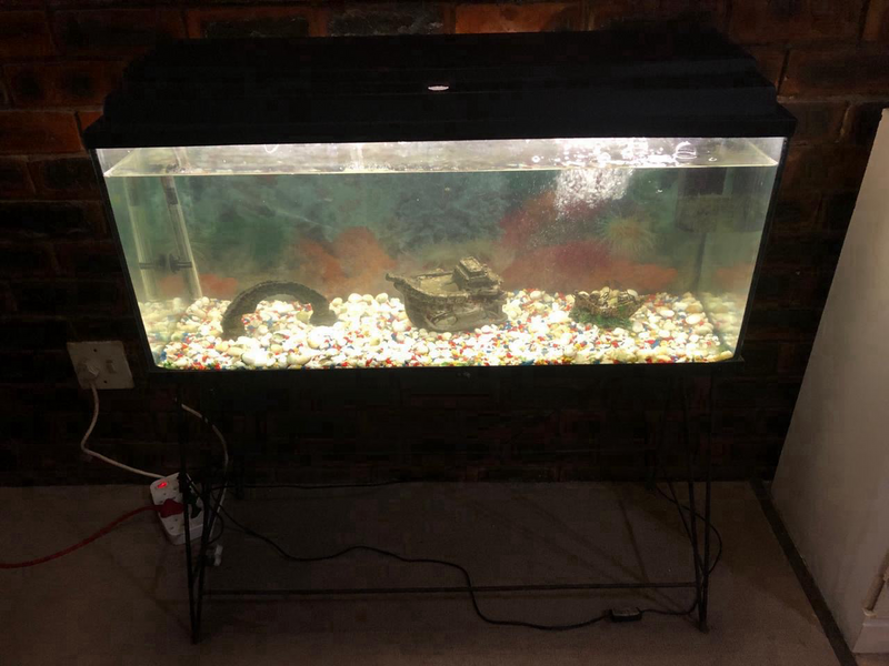 Fish tank 900 x 30cm