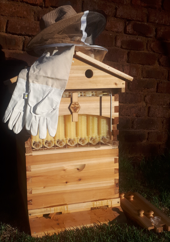 Home Beekeeping in South Africa - Honey on tap
