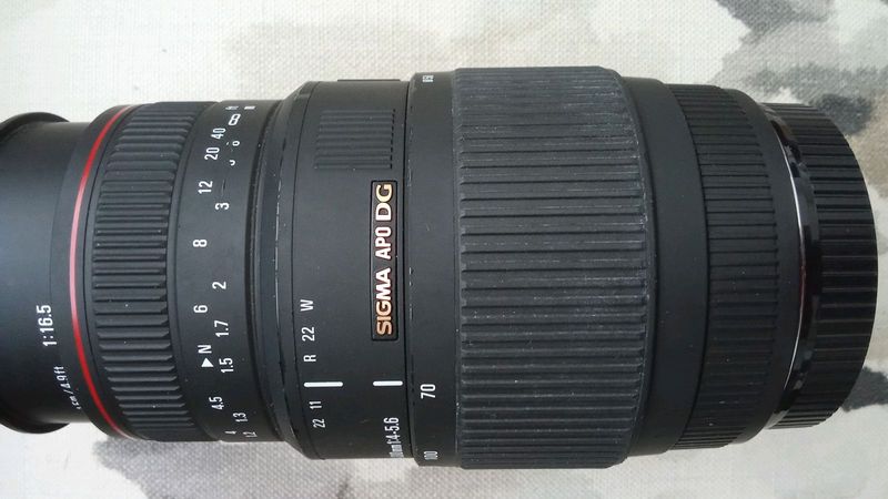 Sigma macro Lens (70-300)