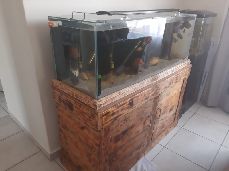 4FT Fish Tank