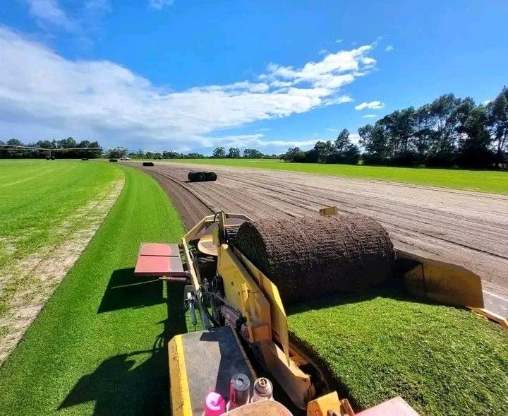 CARLOS GREEN INSTANT ROLL ON LAWN,TREE FELLING,GARDEN STONES AND PAVING.