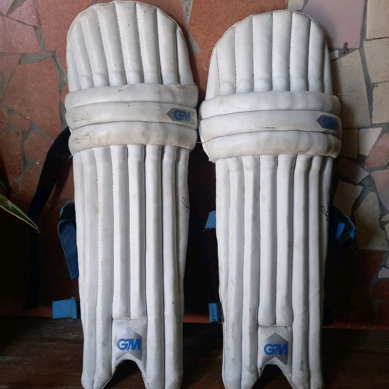 Cricket pad and helmet