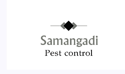 Domestic Pest Control