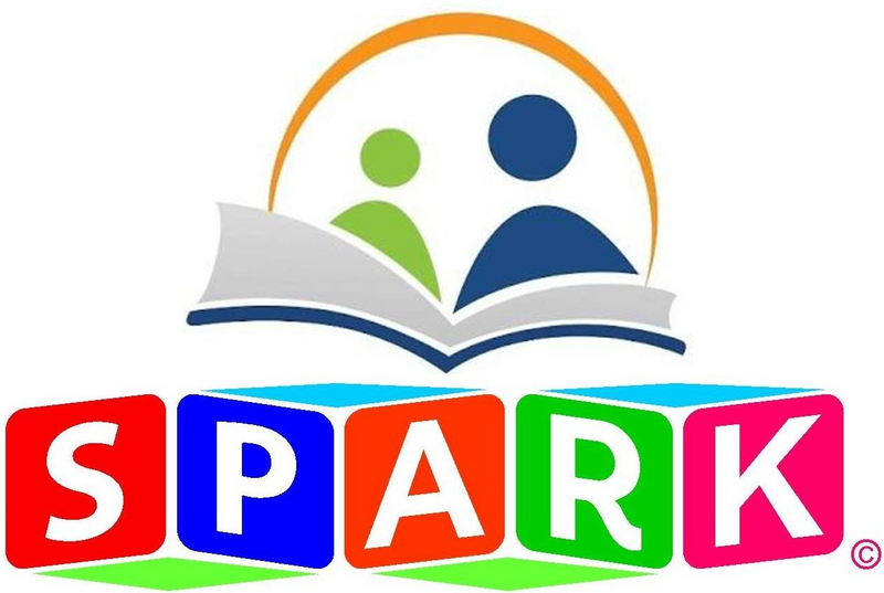 Spark Tuition, Afrikaans, Maths, Physics, EGD for primary and secondary schools ☎️079 450 3129