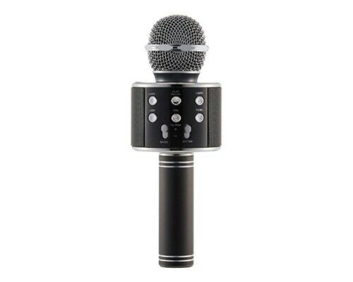 Demo Everlotus Wireless Karaoke Microphone AC Power KM-658 On Sale