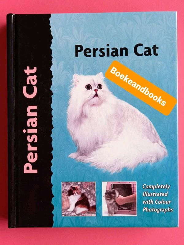 Persian Cat - Thomas Critchley.