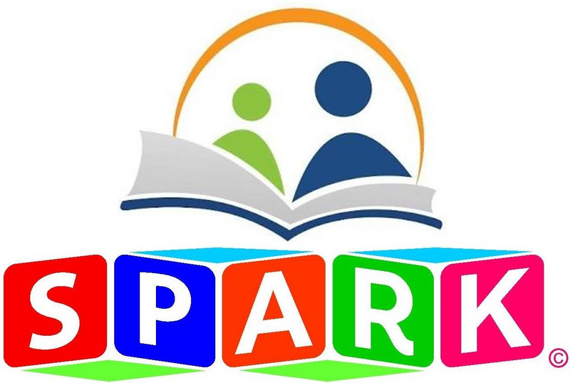 Spark Tuition, Afrikaans, Maths, Physics and EGD for primary and secondary schools ☎️0794503129