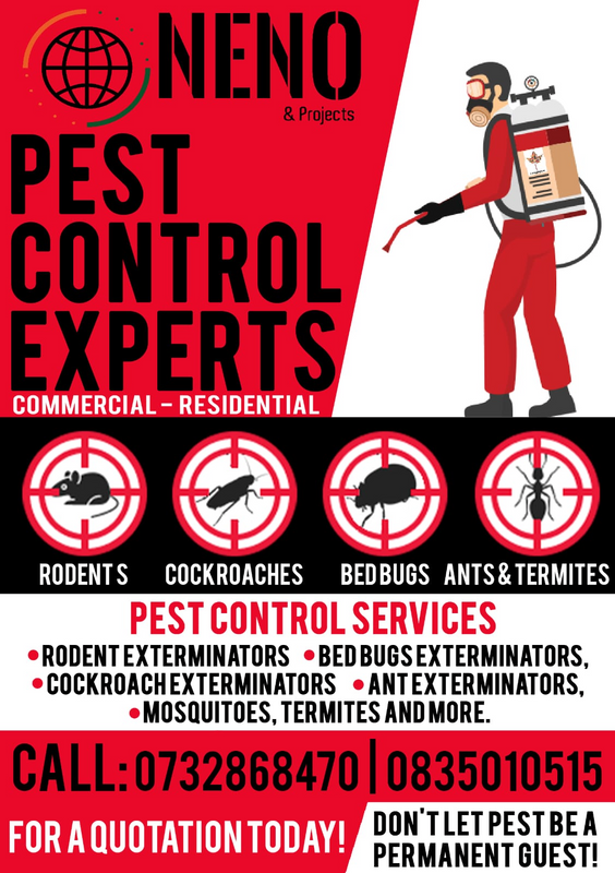 Pest Control Experts phone call away near you
