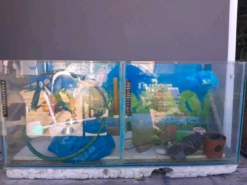 Fish tank split in half