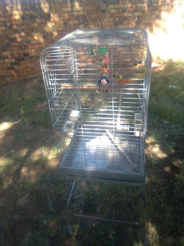 Steel parrot cage