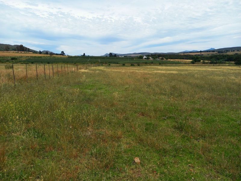 2Ha Small Holding For Sale in George Rural