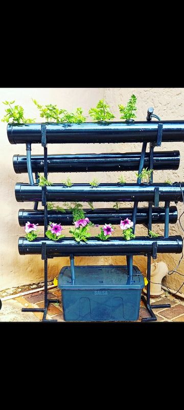 Self Watering Home/Balcony Garden!