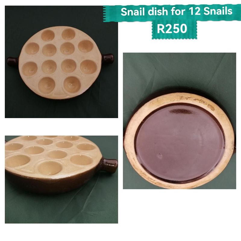 12 hole snail dish R250