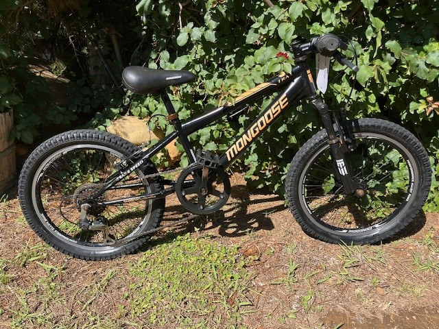 Mongoose 20&#34; kids mountain bike