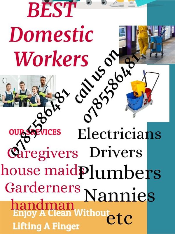 Best Domestic Workers