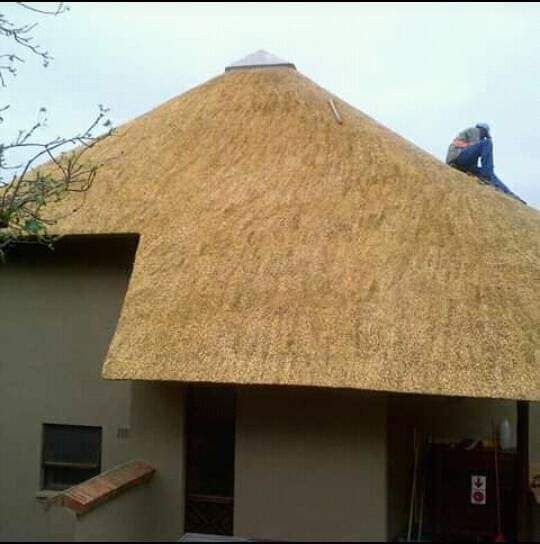 Thatch lapas and repairs