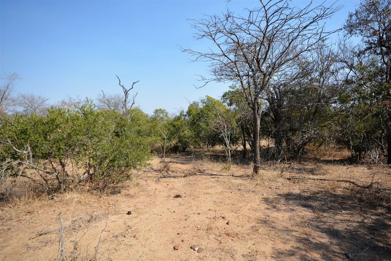Vacant Land in MODITLO NATURE RESERVE.