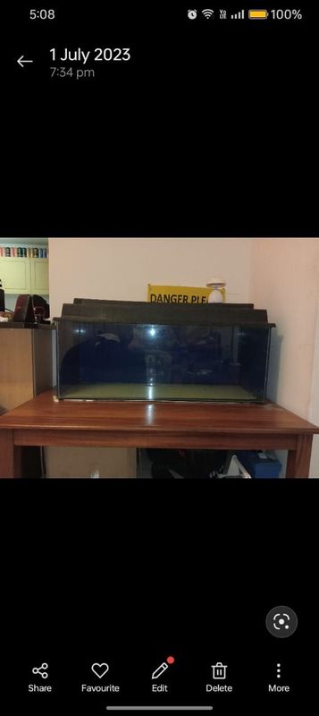 Large fish tank &#43; 300w heater
