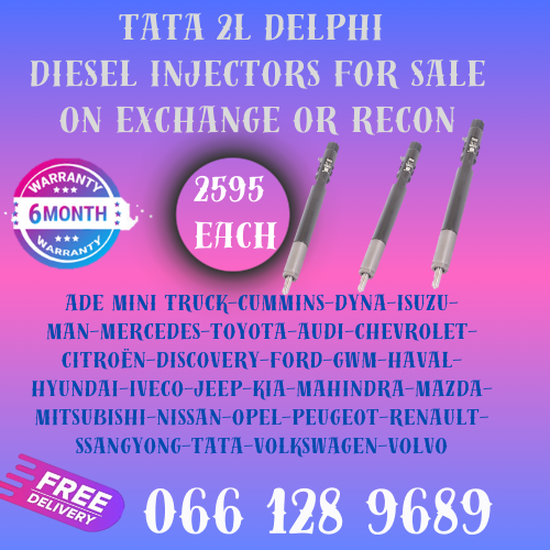 TATA 2L DELPHI  DIESEL INJECTORS FOR SALE ON EXCHANGE WITH FREE COPPER WASHERS