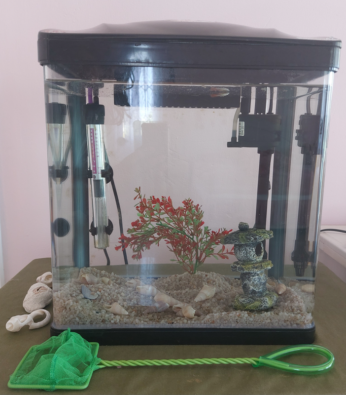 Fish Tank Aquarium Kit For Sale (Used - in excellent condition)