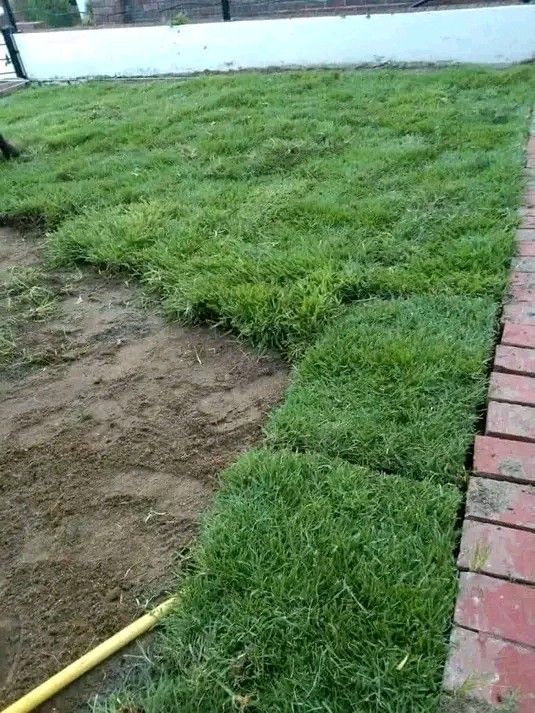 Good quality grass roll on lawn