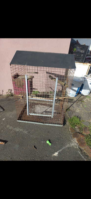 Large bird cage to swop or sell