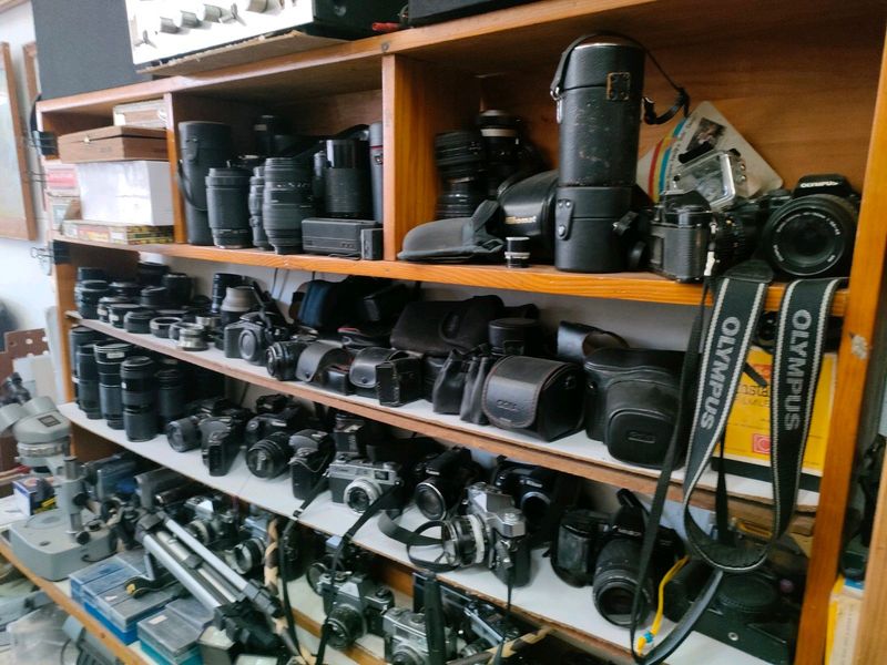 A large selection of vintage cameras
