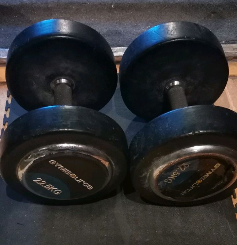 22.5kg heavy dumbbells for sale