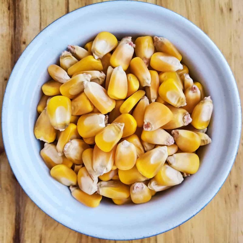 Yellow Maize Non GMO