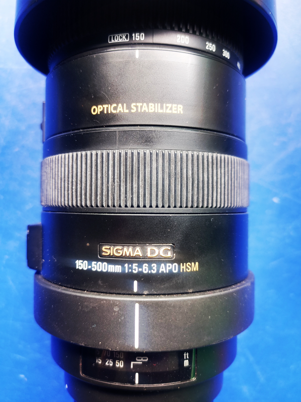 Sigma lens 150-500mm