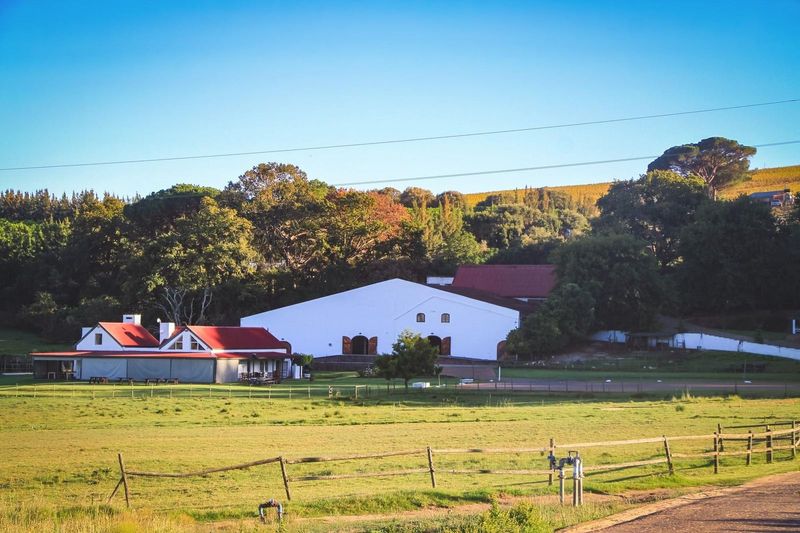 Experience the essence of Stellenbosch, 54ha wine farm, 1919 roots, award-winning wines.