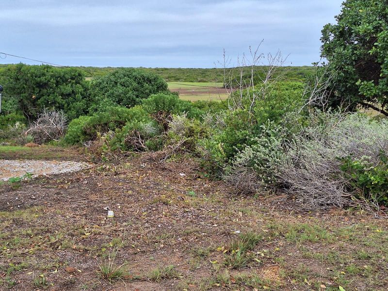Prime Vacant Land in Kleinbaai with Golf Course Views