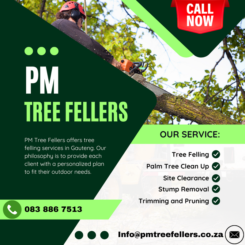 Tree felling specialists