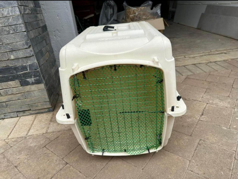 Portable cat or dog carrier box