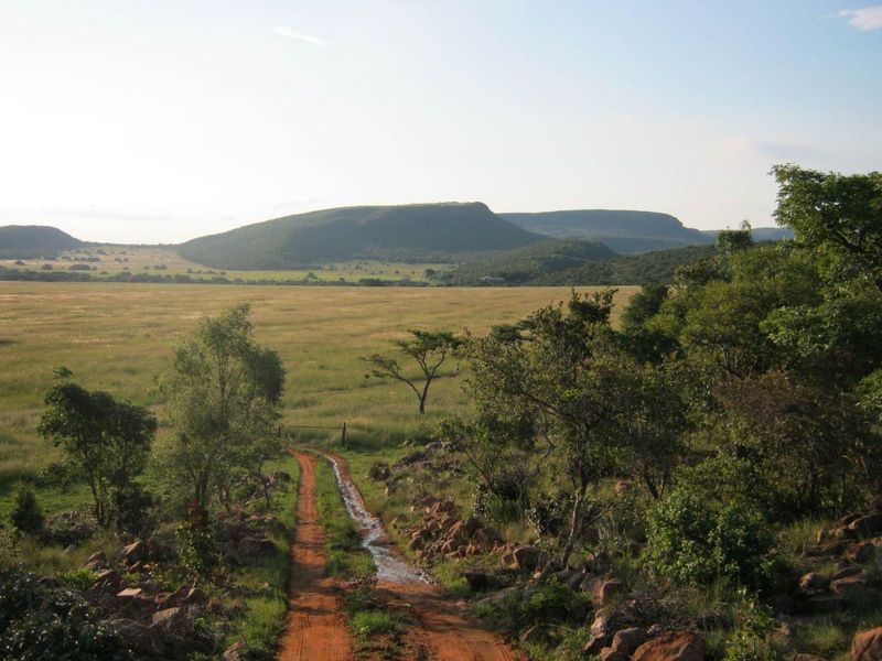 Discover Boschhoek: Your Hidden Haven in the Waterberg Mountains for R1,749,000