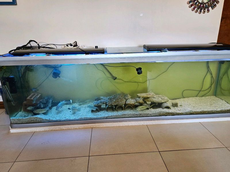 2.5M Fish Tank